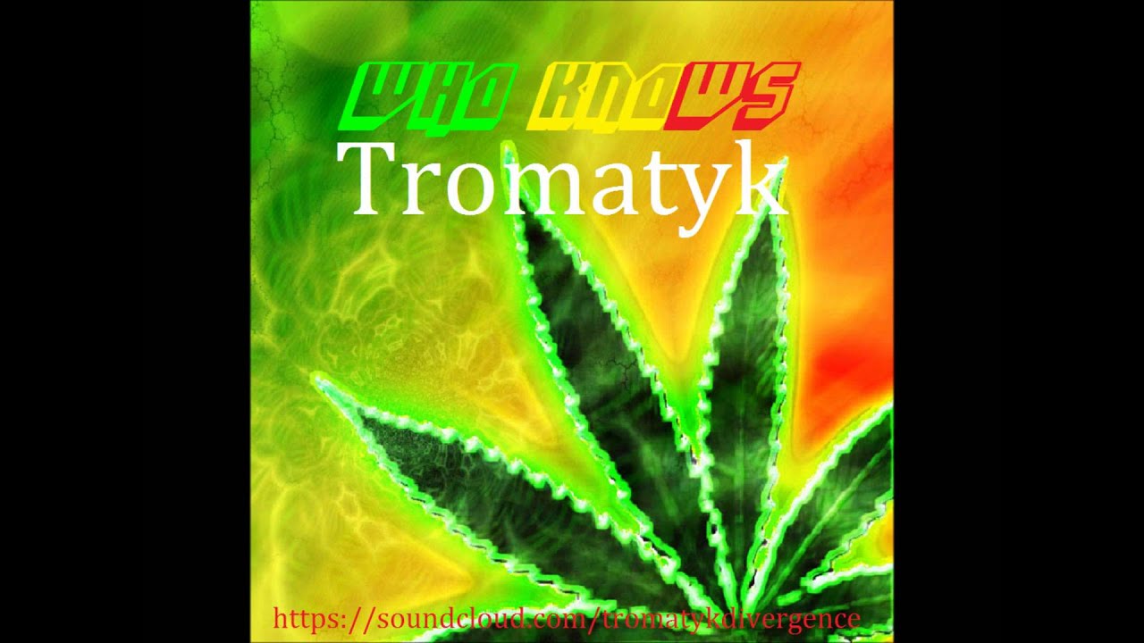 Who Knows -Tromatyk  [RAGGATEK]