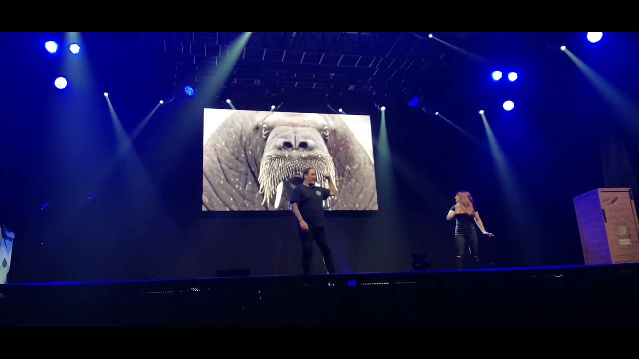 Animals FX Butlins Bognor 2021 Part 2