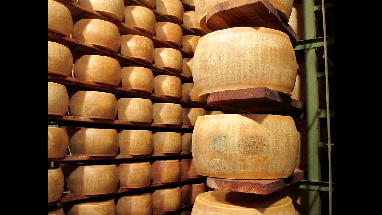 Parmesan Cheese making
