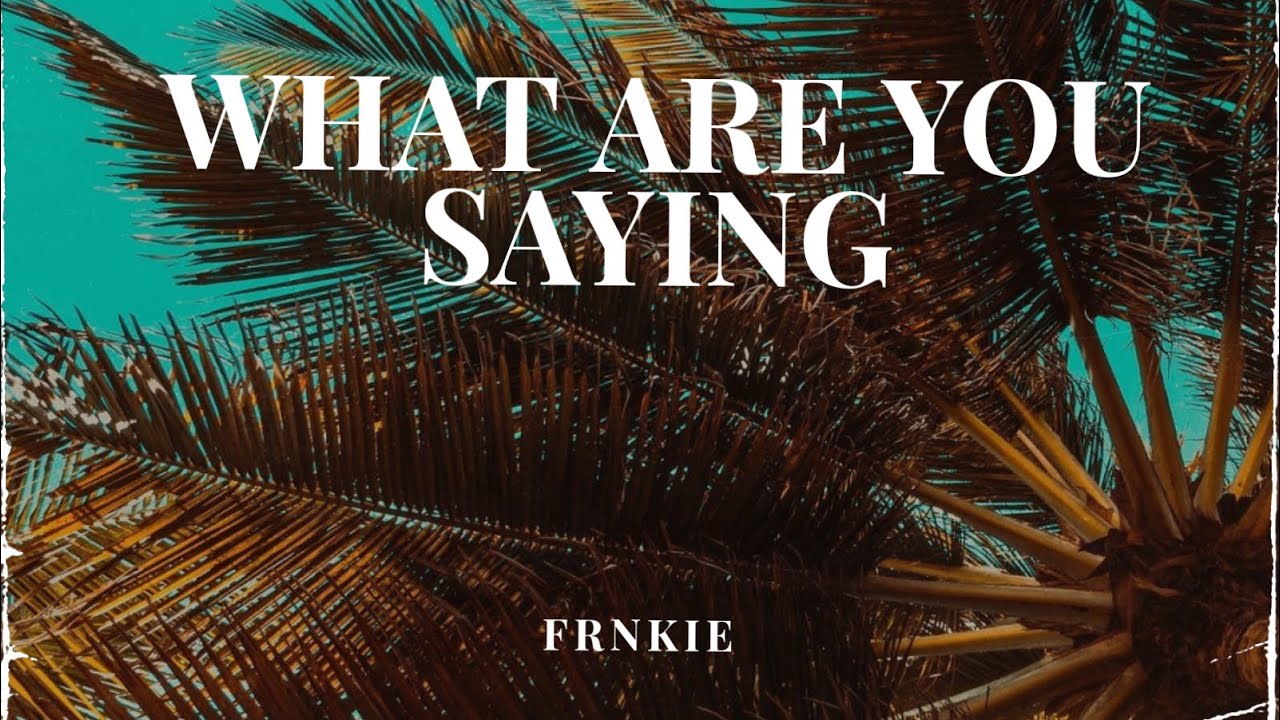 FRNKIE - What Are You Saying (Official Visualizer)
