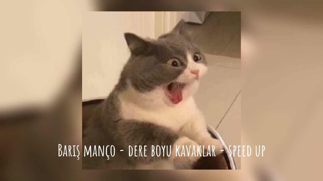 Barış Manço - Dere Boyu Kavaklar - Speed Up