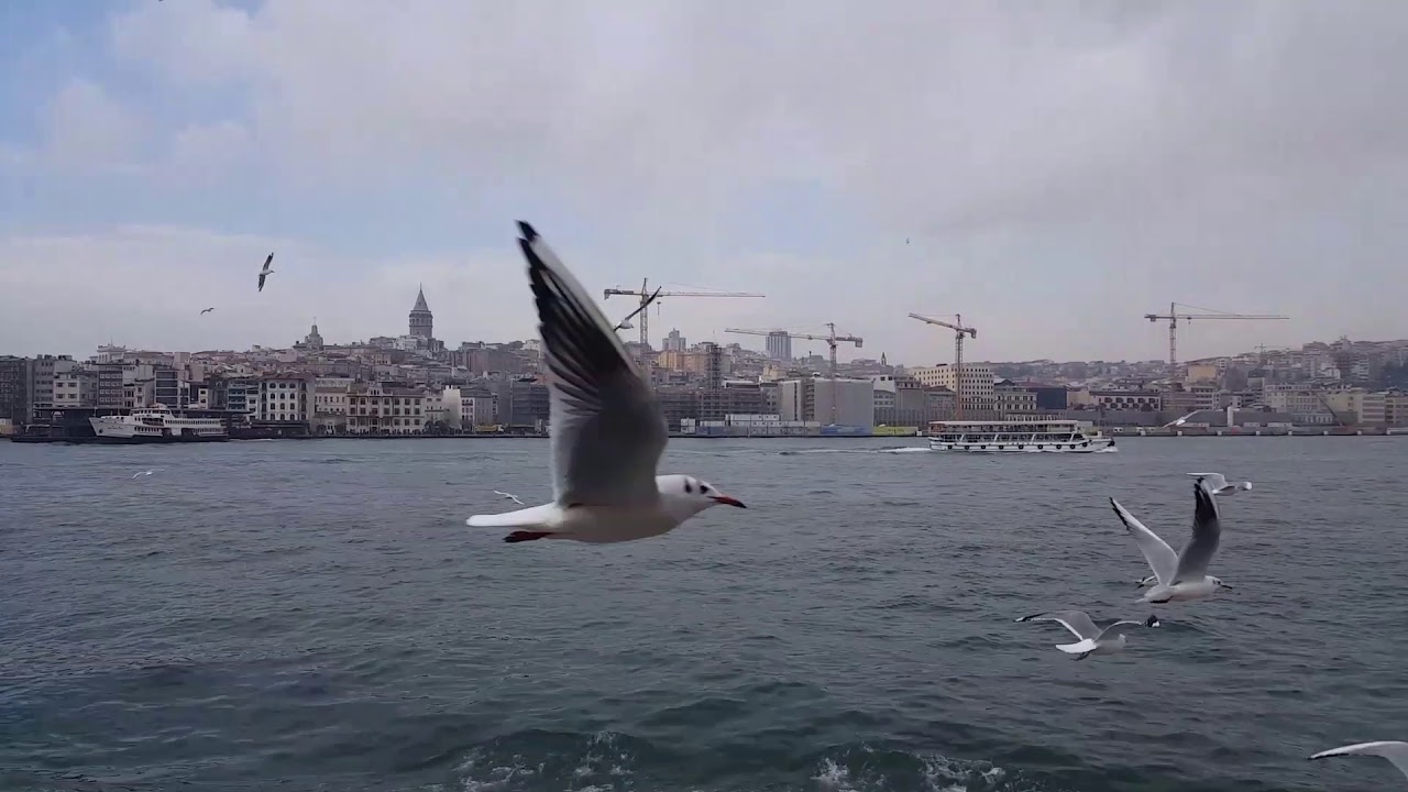 Ercan şeker(16)