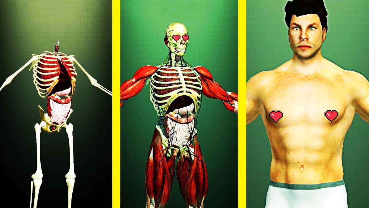 Idle Human! IS THIS MAX LEVEL MAN EVOLUTION? IDLE HUMAN LEVEL 999? Pika Guyy
