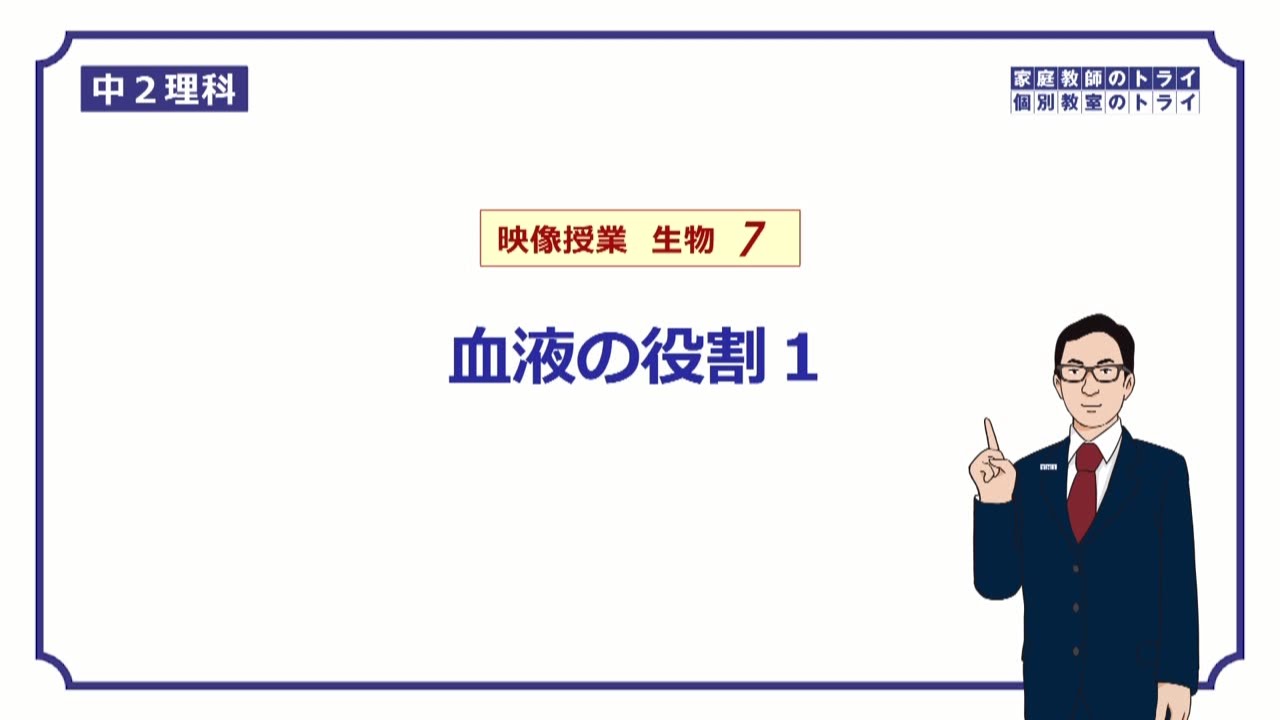 【中２　理科　生物】　血液の成分と役割　（１７分）