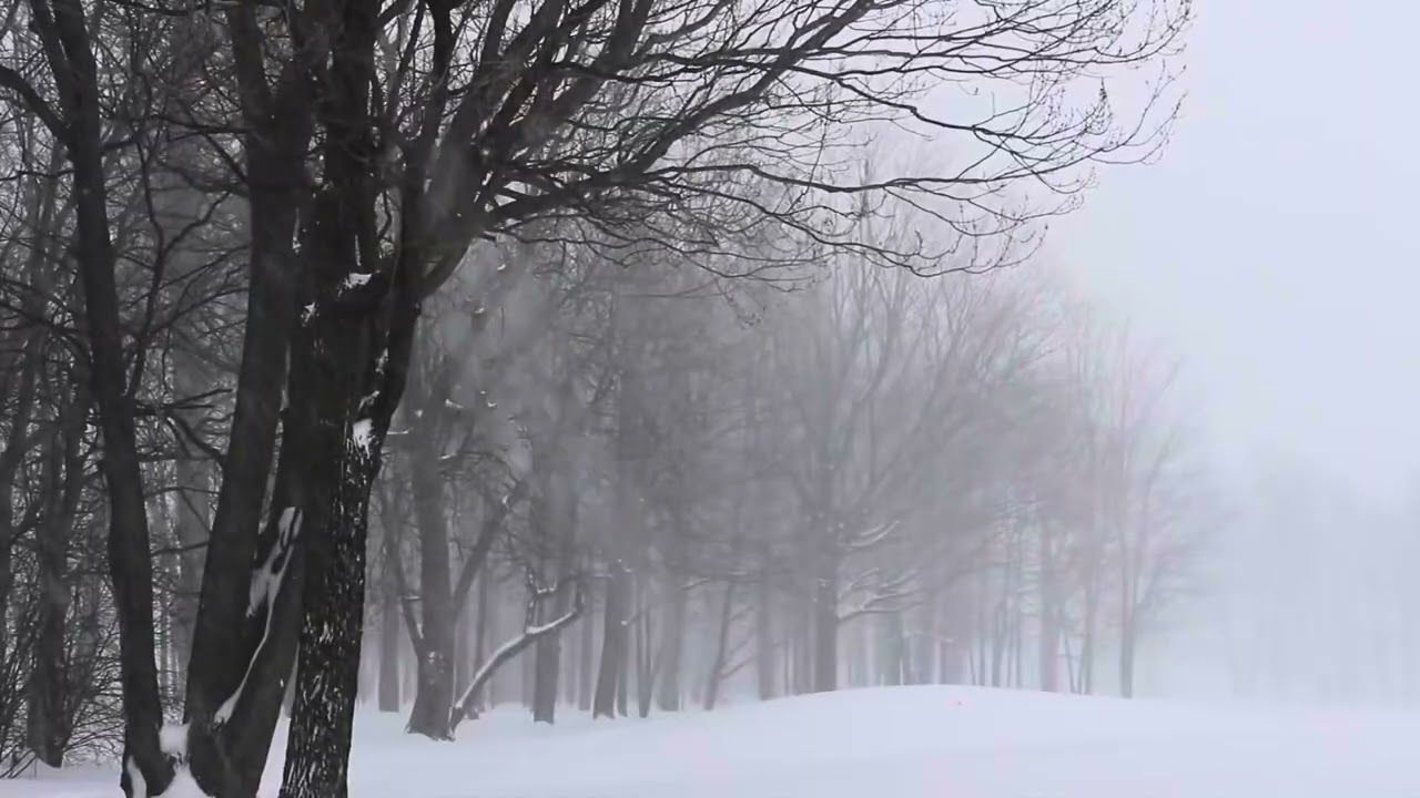 Atlanta -Norte de Georgia en Estado de Emergencia por Tormenta Invernal 58 condados en Alerta 