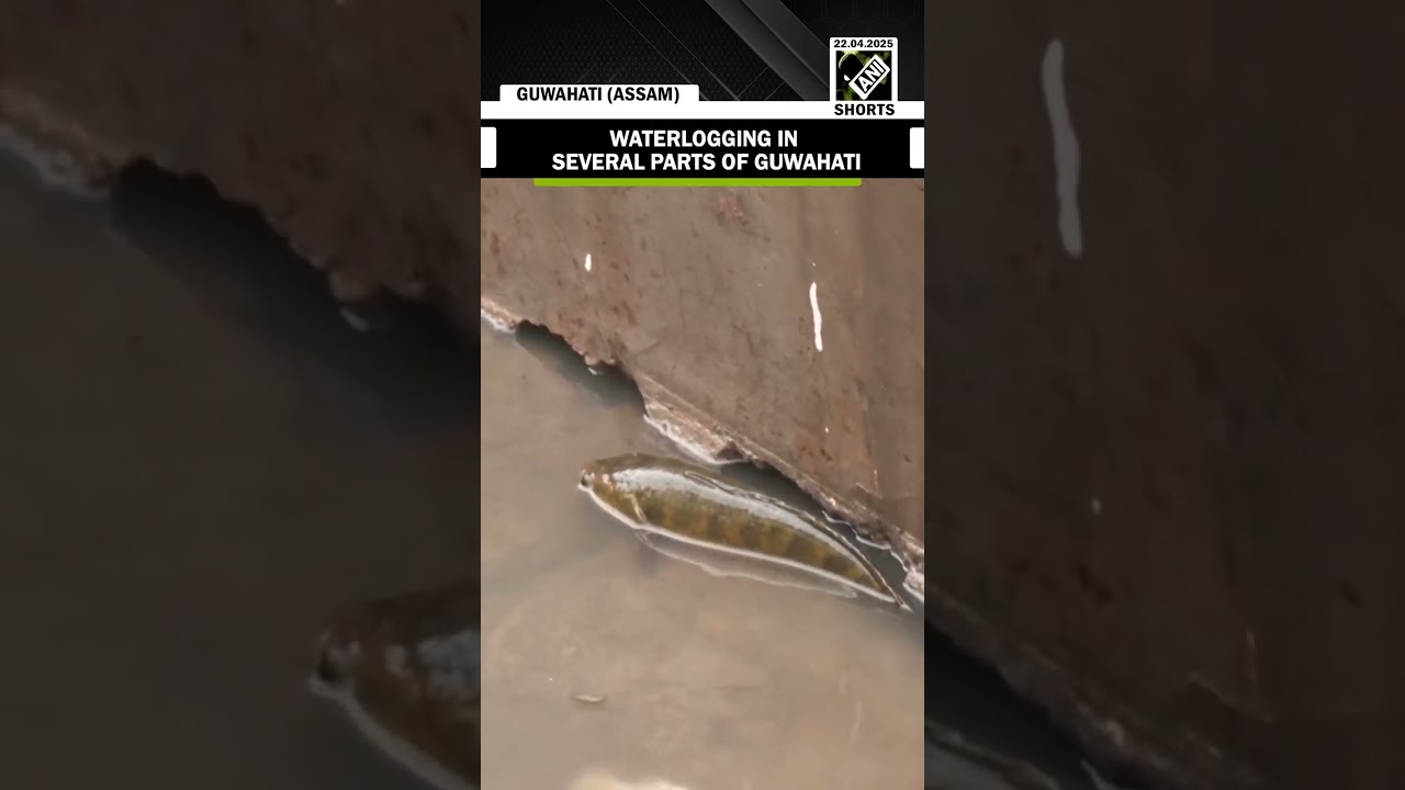 Waterlogging in several parts of Guwahati after incessant rainfall in the region