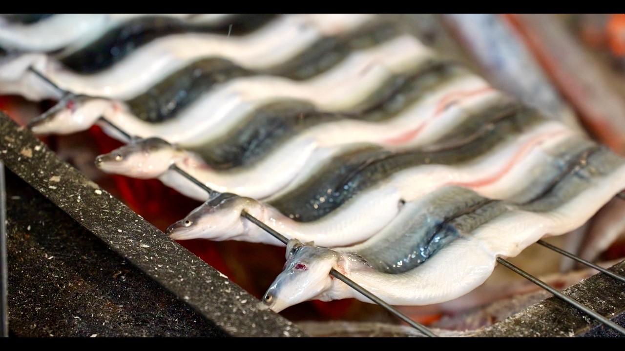 【大阪】創業１５８年のうなぎ問屋「魚伊 本店」に密着｜Day in the Life of a Grilled Eel Master - Japanese Street Food