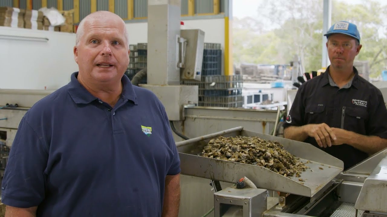 Grading Machines - Working with Hatchery Spat | NSW Farmers Association