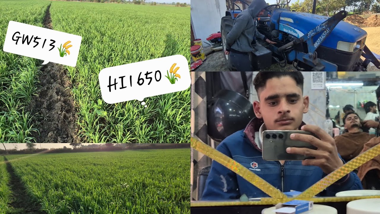 Holland 5500 cold start check / going to haircut