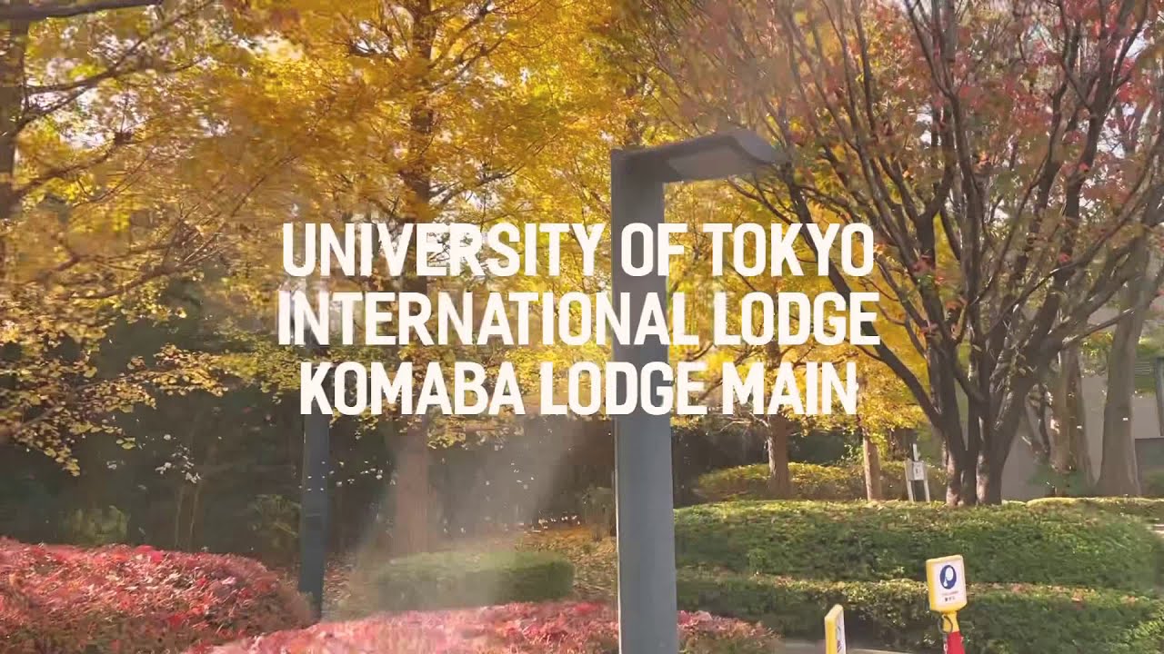 University of Tokyo Komaba International Lodge Tour - November 2020