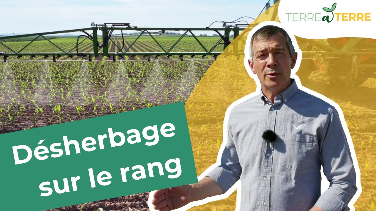 Désherbage sur le rang : une technique pour réduire les herbicides en maïs  - TERRE à TERRE S2E03