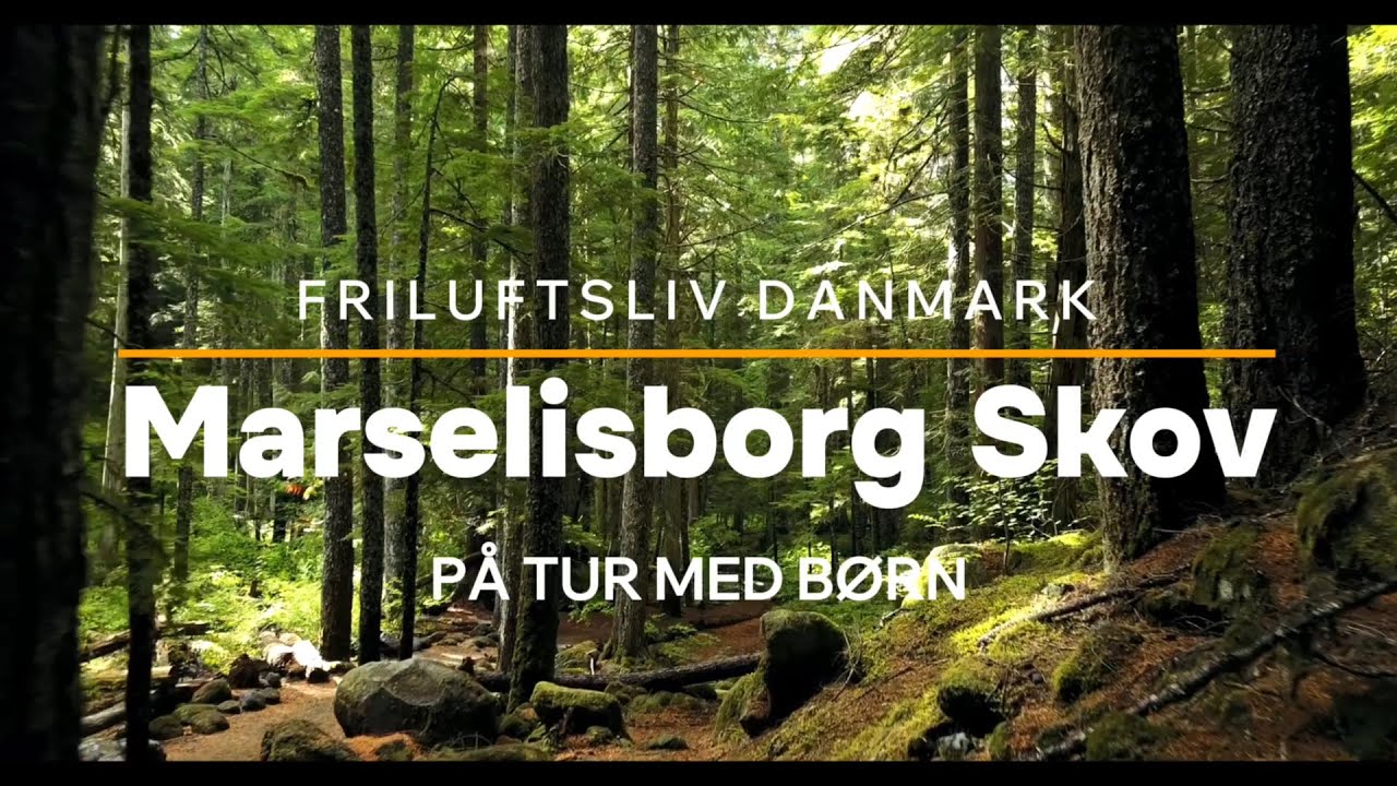 På tur: Marselisborg Skov - Fra Ørnereden til Skovmøllen og tilbage | Vandring ved Aarhus