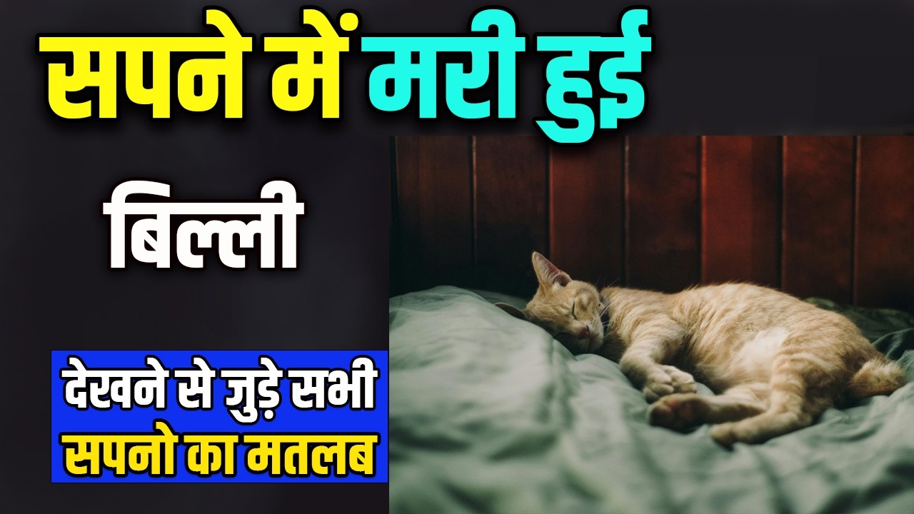 Sapne me Mari Hui Billi Dekhna | Seeing Dead Cat in Dream | Mari Hui Billi ka Sapna Dekhna