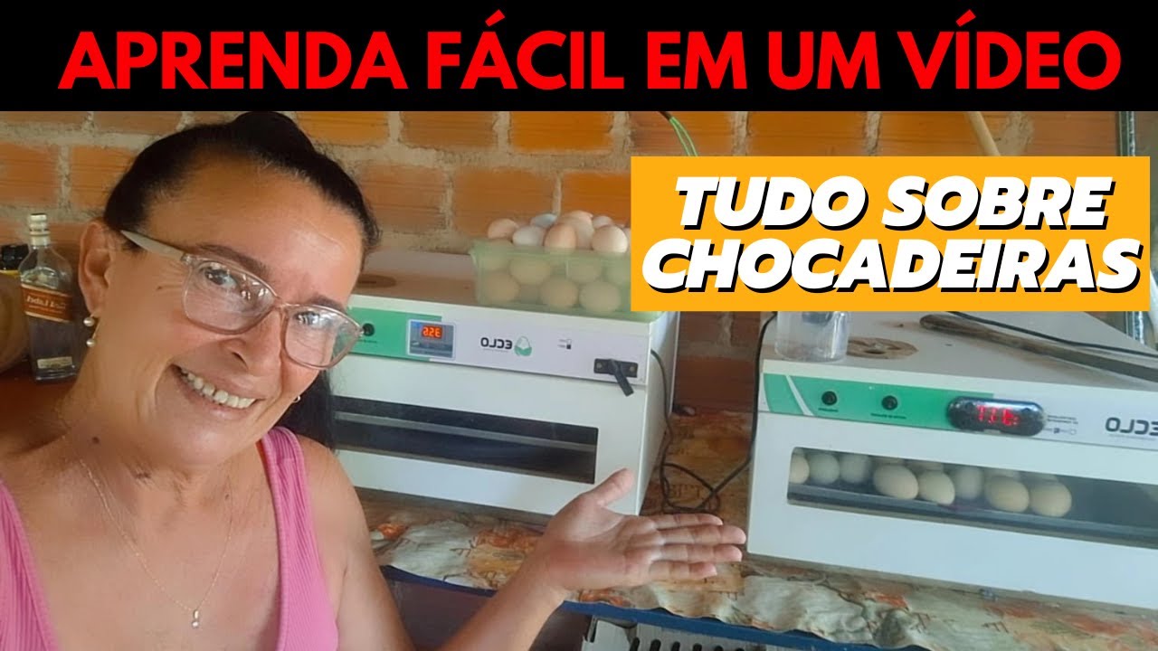 Como Usar Chocadeira Guia Completo: Uso, Manuseio e Dicas Essenciais para a Eclosão Perfeita
