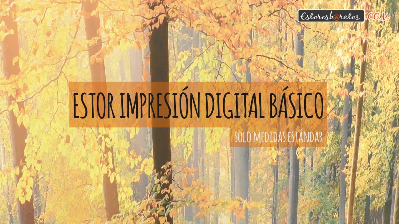 Instalaci&oacute;n de un estor enrollable con impresi&oacute;n digital modelo est&aacute;ndar