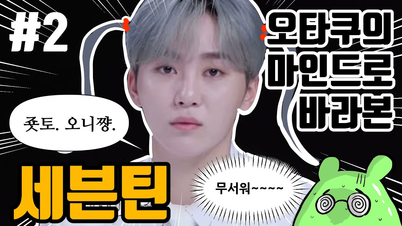 오타쿠의 마인드로 바라본 대세아이돌, 세븐틴 분석발표회! #2