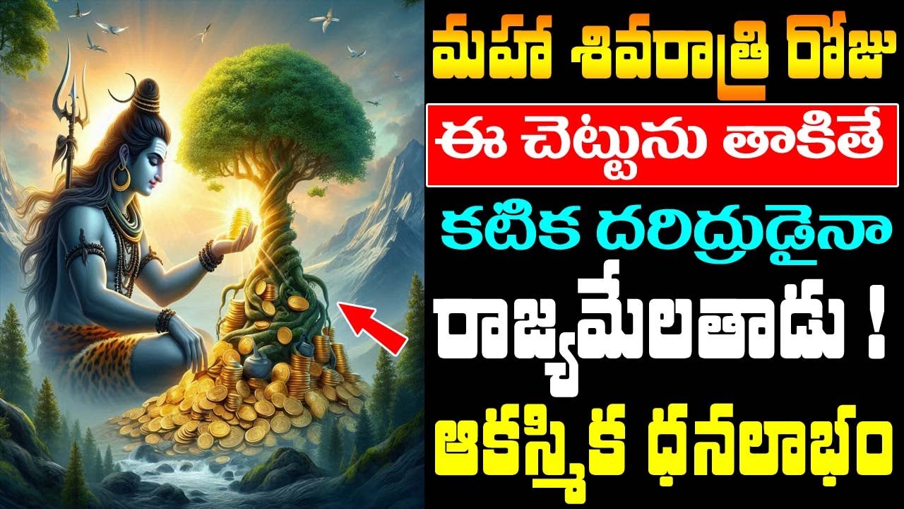 మహా శివరాత్రి రోజు ఈ చెట్టును తాకితే కటిక దరిద్రుడైన రాజ్యమేలుతాడు || #mahashivratri