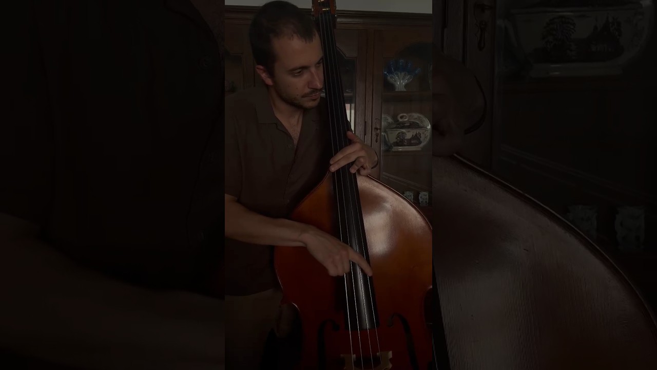 Upright bass groove melodharmony #jazz #doublebass #uprightbass #percussion