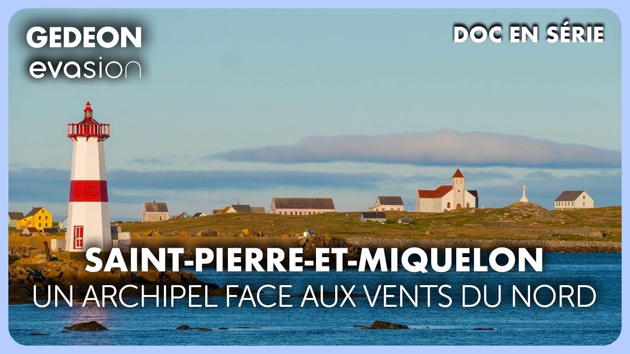 Sentinelles de l’Atlantique : la vie sauvage à Saint-Pierre-et-Miquelon | Documentaire