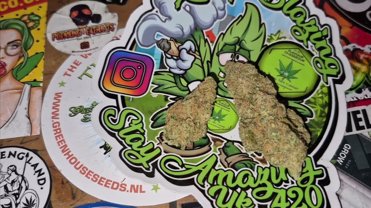 Clearleaf T21 Gelato Dream  20% THC 1%CBD