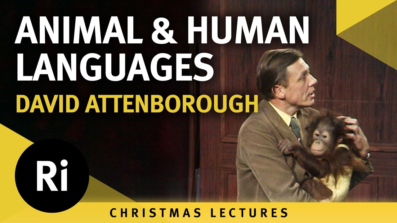 Animal and human languages - David Attenborough's 1973 Christmas Lectures 5/5