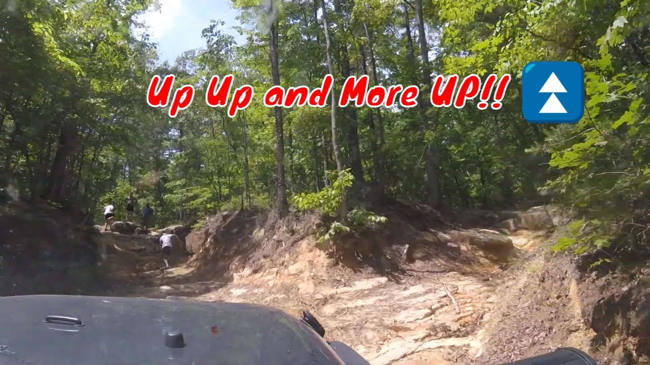 Prentice Cooper State Forest