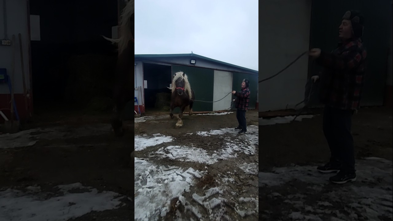 PKZ Гальпан на продаж.