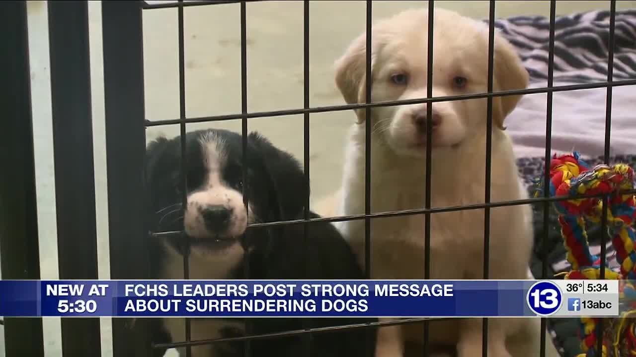 Local shelter posts strong message about people who are calling to surrender their dogs