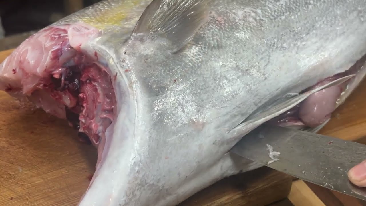 油脂大爆發， 10公斤紅甘三日熟成生魚片。