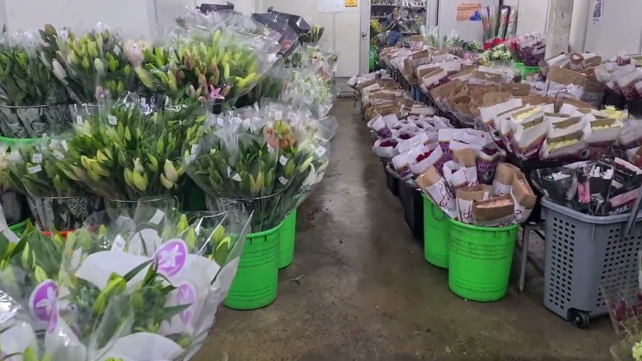 Far East Flora Cold room walkaround @ Upper Thomson - 2024