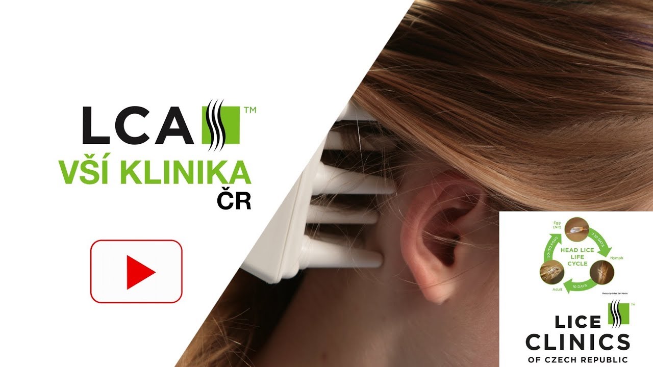 Jak se zbavit vší - JEDNOU A HOTOVO!