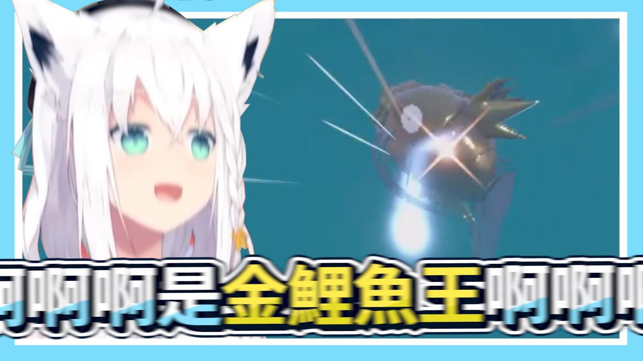 【＃６】金鯉魚耐久結束後會怎麼樣嗎？你不知道嗎．．．金鯉魚耐久會開始喔【寶可夢金鯉魚王】｜【ホロライブ / Hololive】【白上フブキ / 白上吹雪】