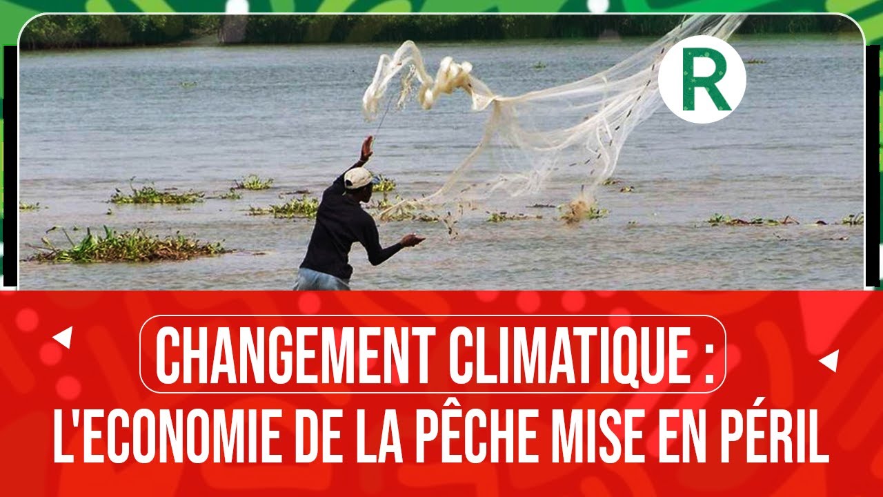 CHANGEMENT CLIMATIQUE : LA PÊCHE MENACÉE PAR LA RARÉFACTION DES RESSOURCES HALIEUTIQUES