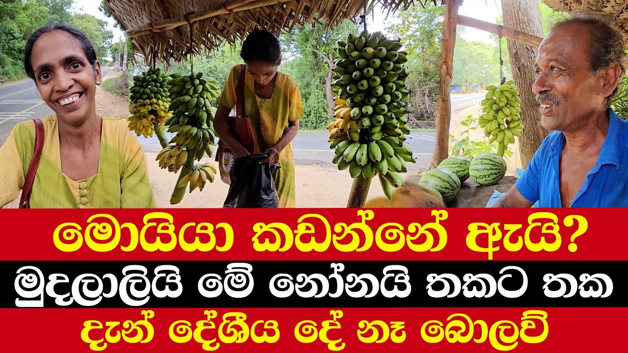 මොයියා කඩන්නේ ඇයි? | මුදලාලියි මේ නෝනයි තකට තක | දැන් දේශීය දේ නෑ බොලව්