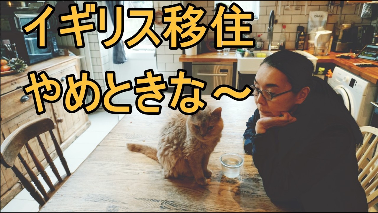 【治安悪い】【恐怖】イギリスで体験した犯罪の数々を詳しくお話します【注意喚起】