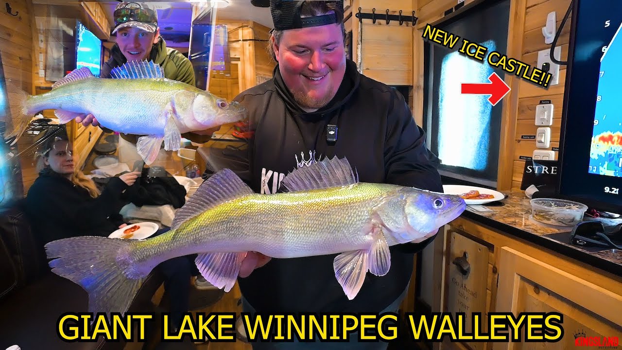 Catching GIANT Lake Winnipeg walleyes in my new ice castle!