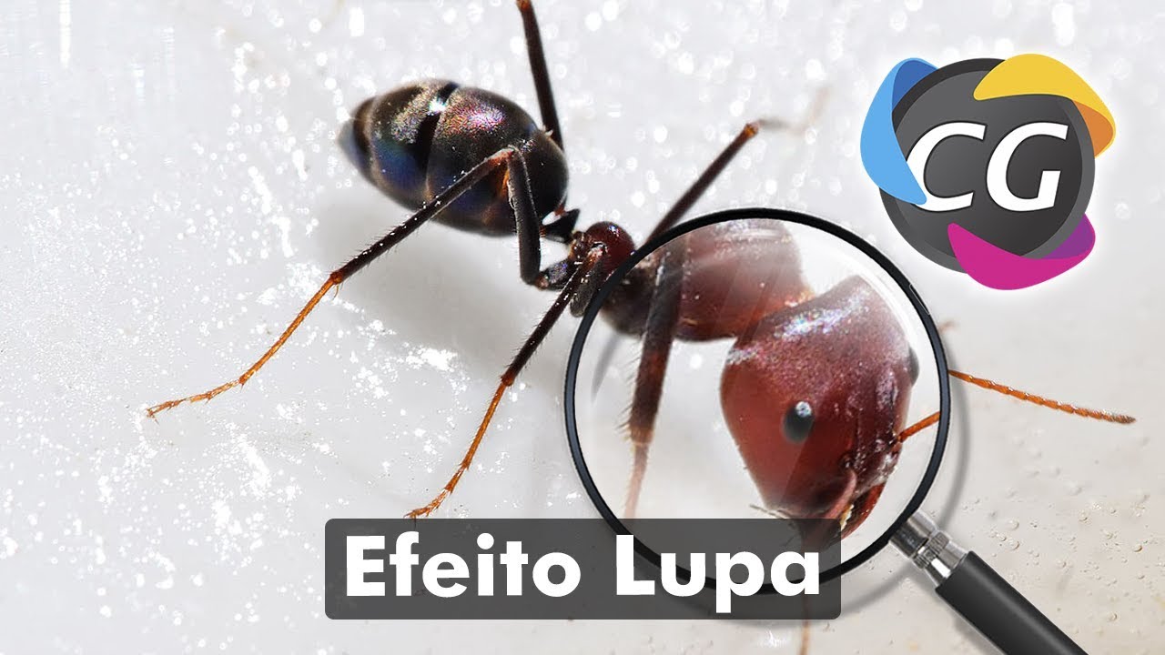 PhotoShop - Efeito Lupa