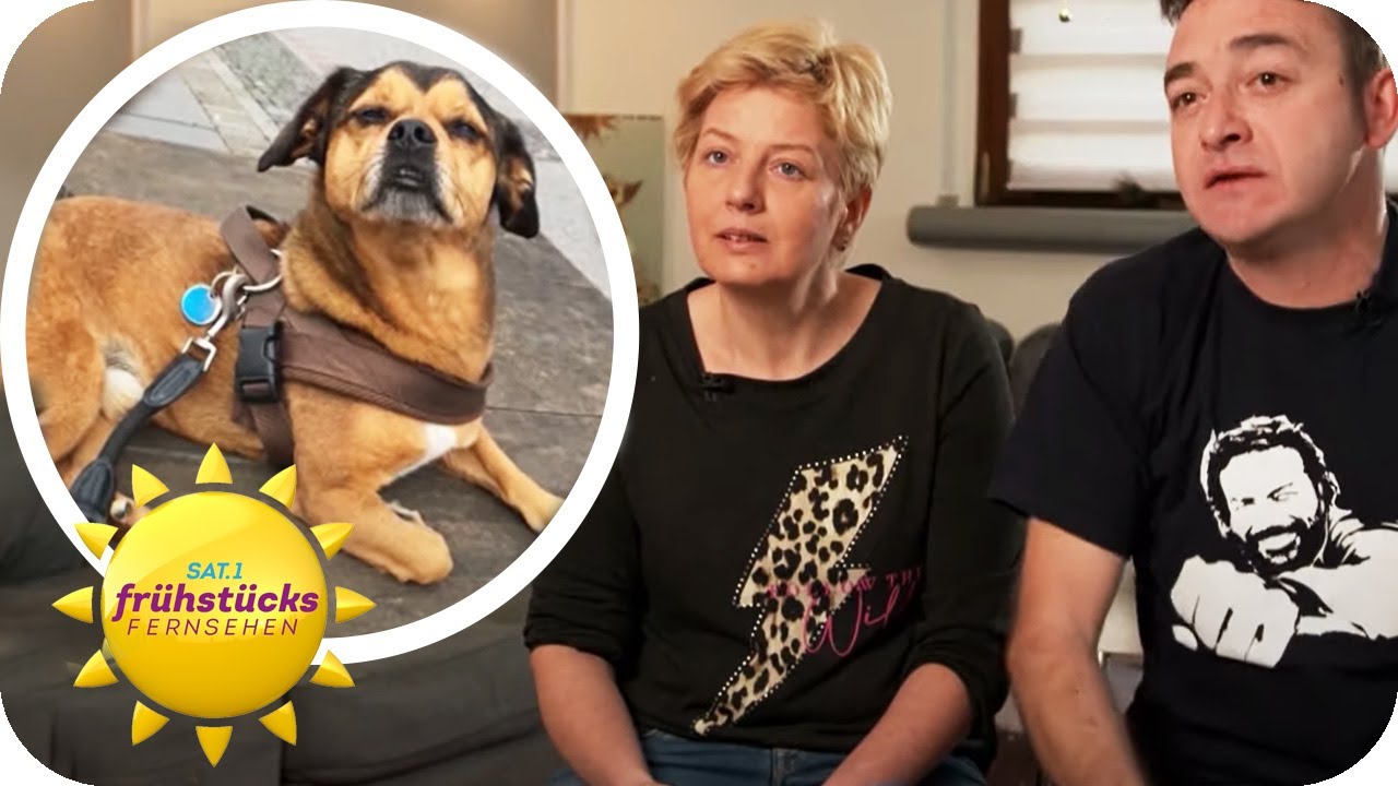 Betr&uuml;ger erpressen Familie: Gef&auml;lschte Hundefotos sollen Geld bringen! | SAT.1 Fr&uuml;hst&uuml;cksfernsehen