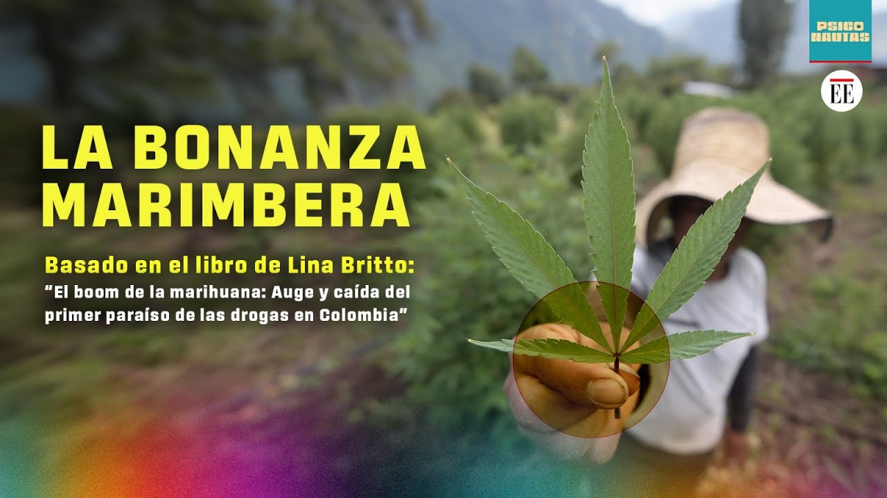 El boom de la marihuana en Colombia que se desconoce (basado en la investigación de Lina Britto)