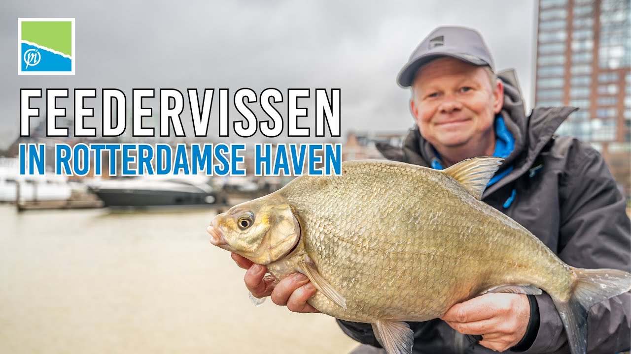 FEEDERVISSEN IN ROTTERDAMSE HAVEN | ARNOUT VAN DE STADT
