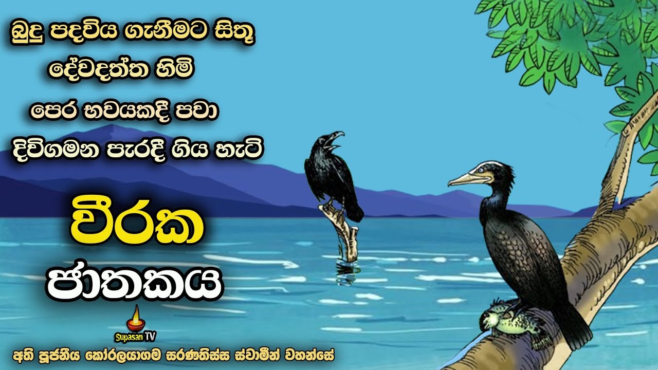 වීරක ජාතකය | පෙර භවයක තම නොහැකියාව නොදැන මිය ගිය දෙව්දත් හිමි | Viraka Jathakaya