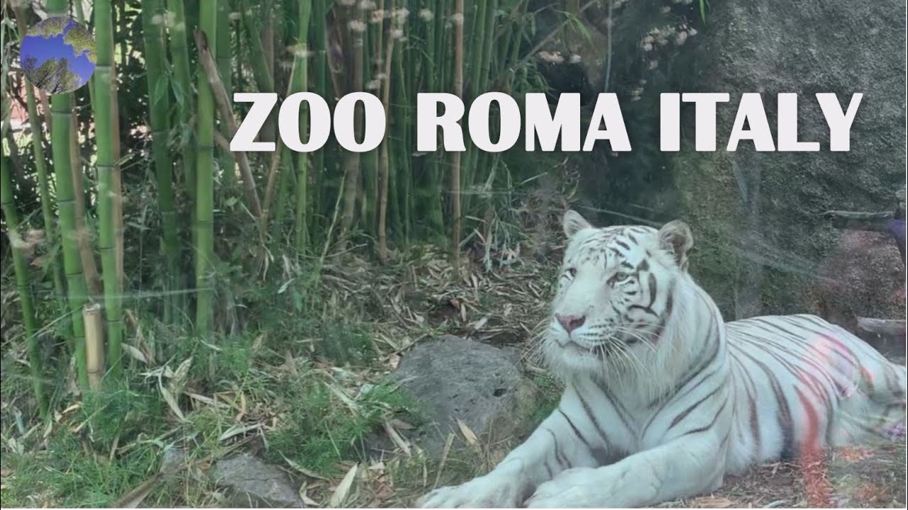 ZOO ROMA