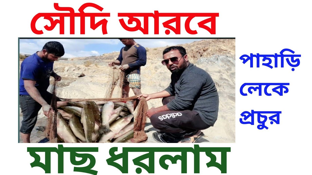সৌদি আরবে মাছ ধরলাম। Fishing video.Greatest Fishing in Saudi Arabia.Record day of fishing #fishing