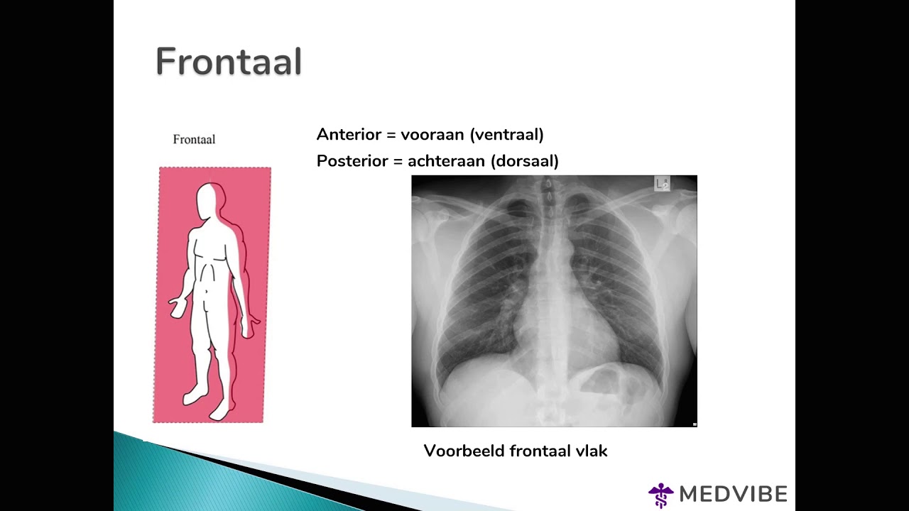 Anatomie les 1: Basisbegrippen