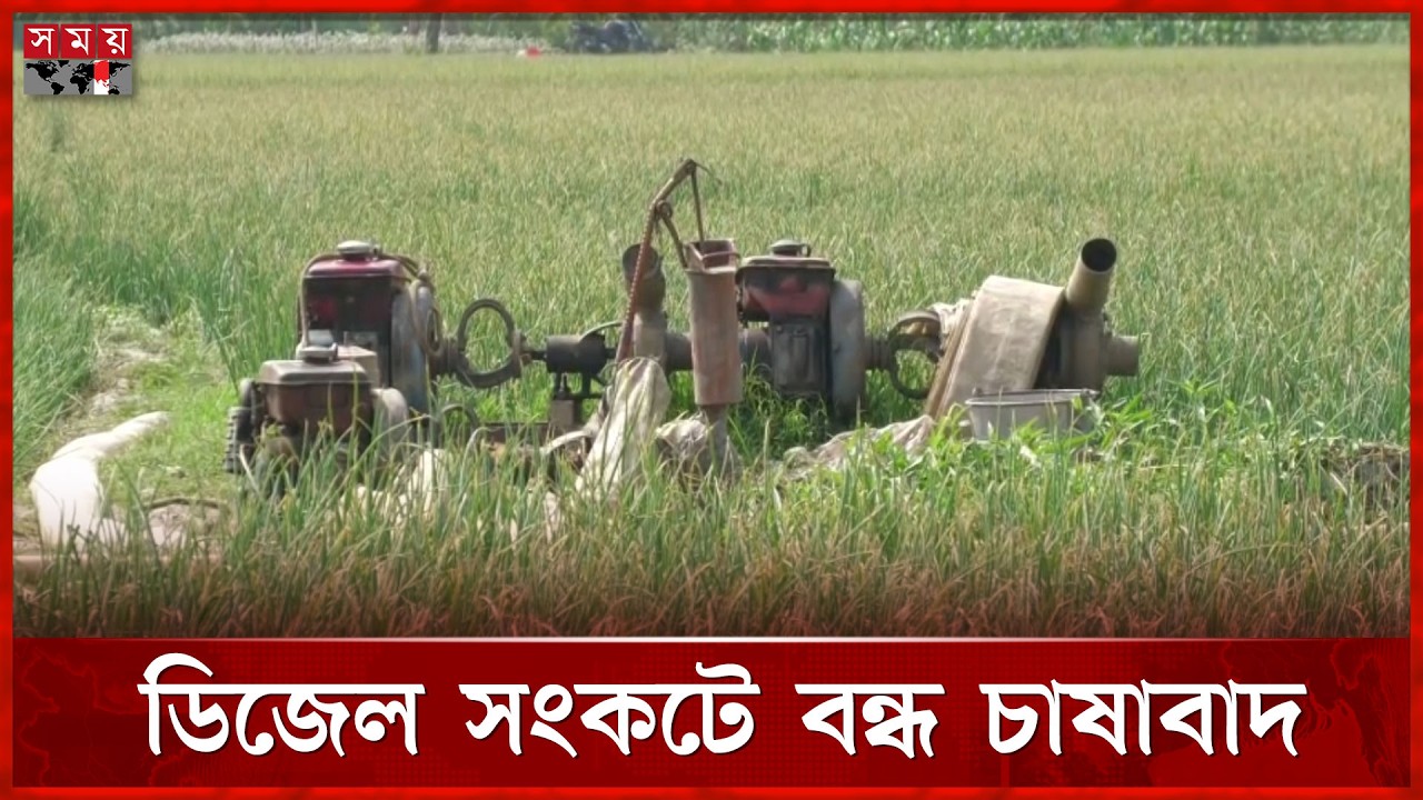 নাটোরে ৩৯ হাজার ডিজেলচালিত পাম্প নিয়ে বিপাকে কৃষকরা  | Diesel | Irrigation Pumps  | Natore