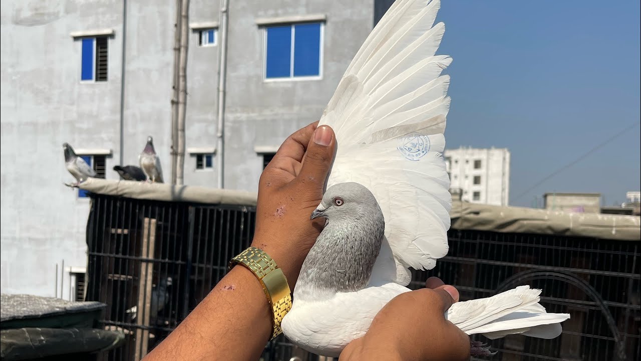 আলহামদুলিল্লাহ আজকে টুনামেন 1st হলাম 14/12/2025/🥰🕊️