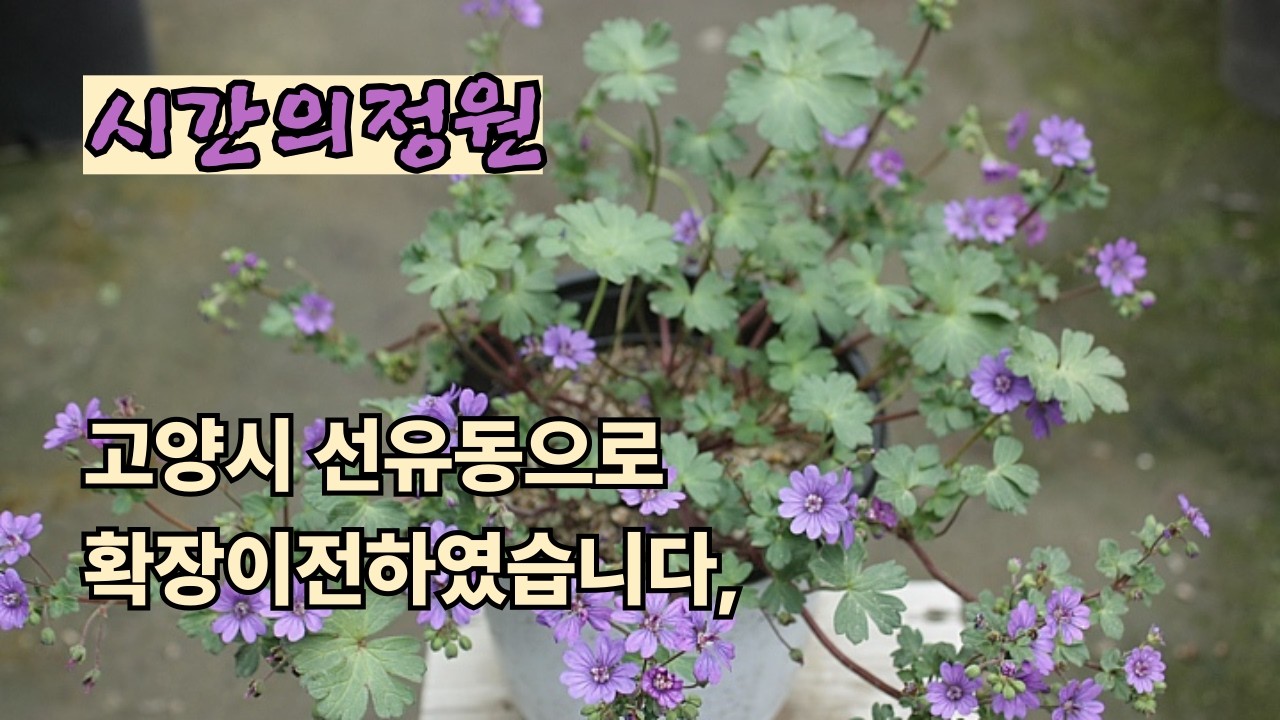 26.3.14,시간의정원 ,확장이전하였습니다,