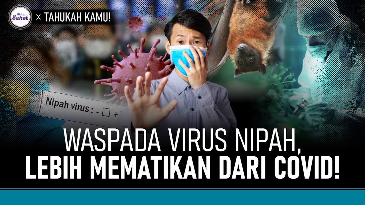Virus Nipah Mengintai, Kenali Gejala dan Cara Mencegahnya | Hidup Sehat tvOne