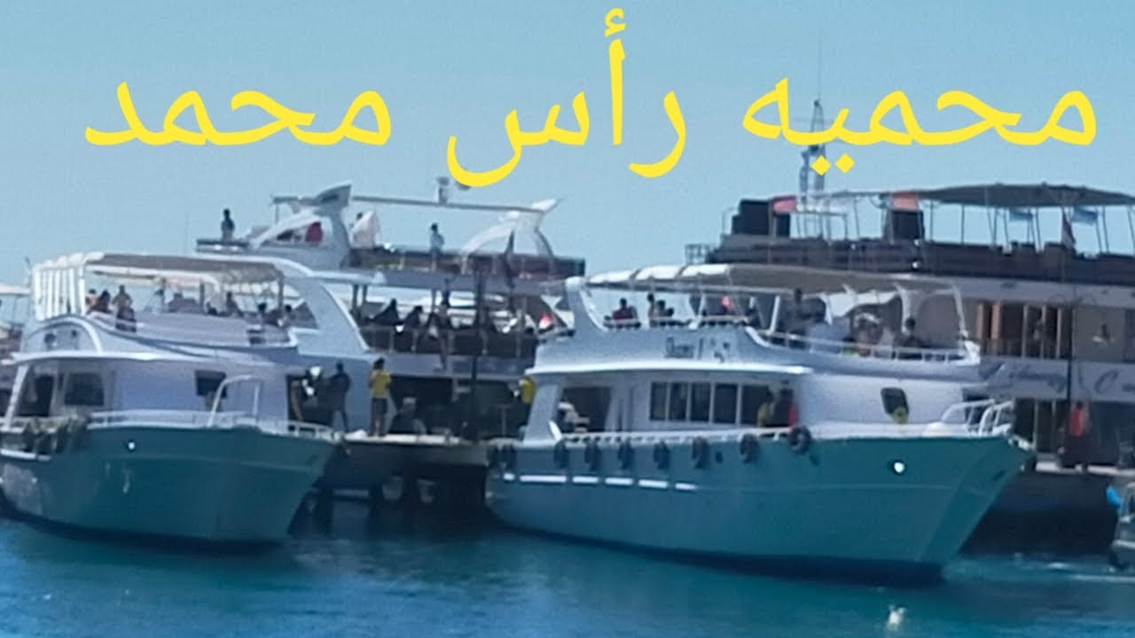 رحلة اليخت إلى محمية رأس محمد والجزيرة البيضاء فى شرم الشيخ أحلى شعب مرجانيه  تحت المياه