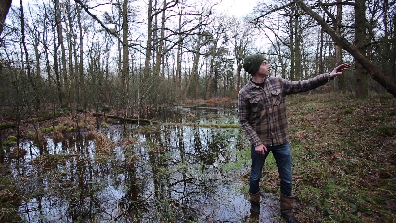 Over swales en vijvers in het (voedsel)bos | Water is leven 